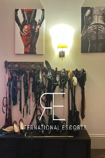 collection of sex toys hanging on a wall 